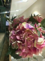 -布拉格婚纱摄影(真实客片店)