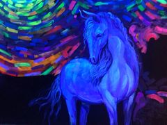 -深圳独角兽星空艺术馆