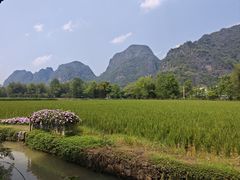 -明仕田园