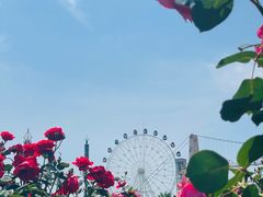 -花博汇(知音花月夜)
