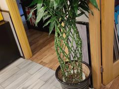 -网鱼网咖(浦东长岛路店)