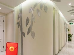 -健身堂科技美肌SPA