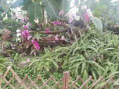 -石家庄市植物园