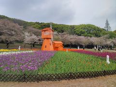 -苏州上方山国家森林公园