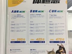 店里的体检优惠-达爱动物医院·犬猫分区·CT·复杂眼科(远洋山水分院)