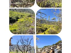 -篁岭景区