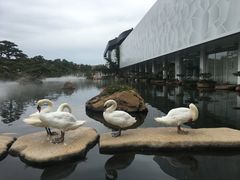 -罗红摄影艺术馆