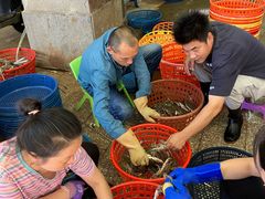 -中国舟山国际水产城