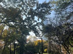 -北极阁公园