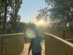 -张店儿童公园
