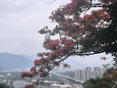 -云洞岩风景区