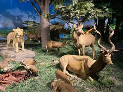 -国家自然博物馆