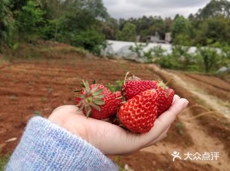 交通: 在鹿溪河那边，开车还算比较方便的，有自家的停