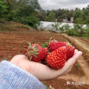 交通: 在鹿溪河那边，开车还算比较方便的，有自家的停