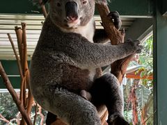 -费瑟代尔野生动物园