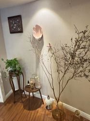 -MISSJANE简夫人美容定制中心