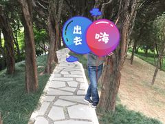 -嘉定紫藤园