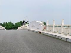 -东湖落雁景区