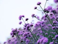 -烟水渔庄餐厅(西溪湿地店)