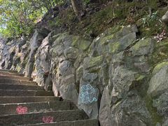 -千岛湖东南湖区