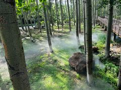 -北京中信金陵酒店