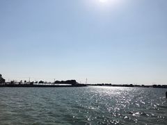 -净心庵