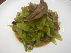 -鸭匠食府·挂炉烤鸭·新京菜(阜成路店)