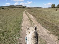 -塞罕坝国家级自然保护区