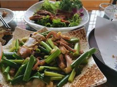 -翠林云庄大酒店