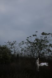 -梓摄影古装写真工作室(富力广场店)