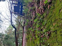-重庆平顶山公园