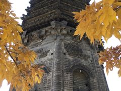 -高尔山公园