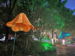 -南湖梦幻岛