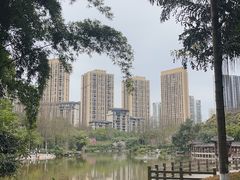 -龙头寺公园