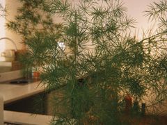 -Cafe on warm(丹霞店)