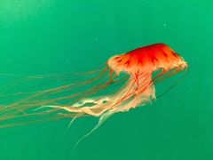 -多彩贵州城极地海洋世界