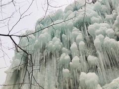 -黑龙潭风景区