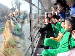 -西安秦岭野生动物园