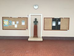 -香港大学