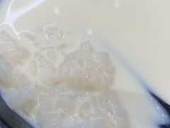 豆浆糯米饭-豆香园(龙翔店)