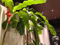 -单家老院·院子里的青岛菜(沙子口店)