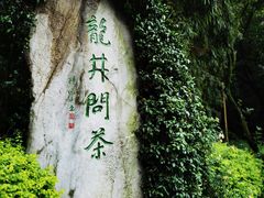 -龙井村