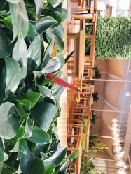 -悦诗风吟innisfree