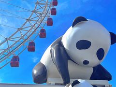 -天津之眼摩天轮