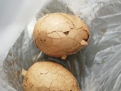 -金盆阿嬷香菇茶叶蛋(玄光店)