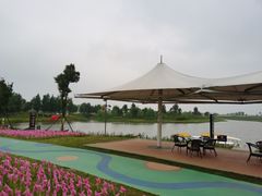 -洪湖湿地生态园