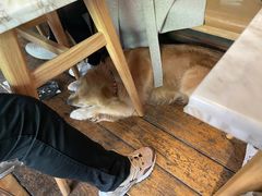 -the rug 飞毯 (朝阳公园店)