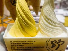 -野人先生现做冰淇淋(北京环宇荟店)