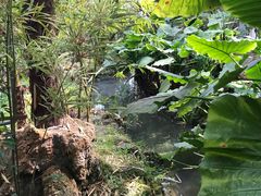 -南通洲际绿博园