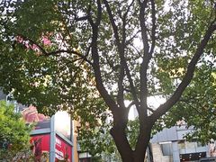 -申正律师团队-法律咨询(杨高店)